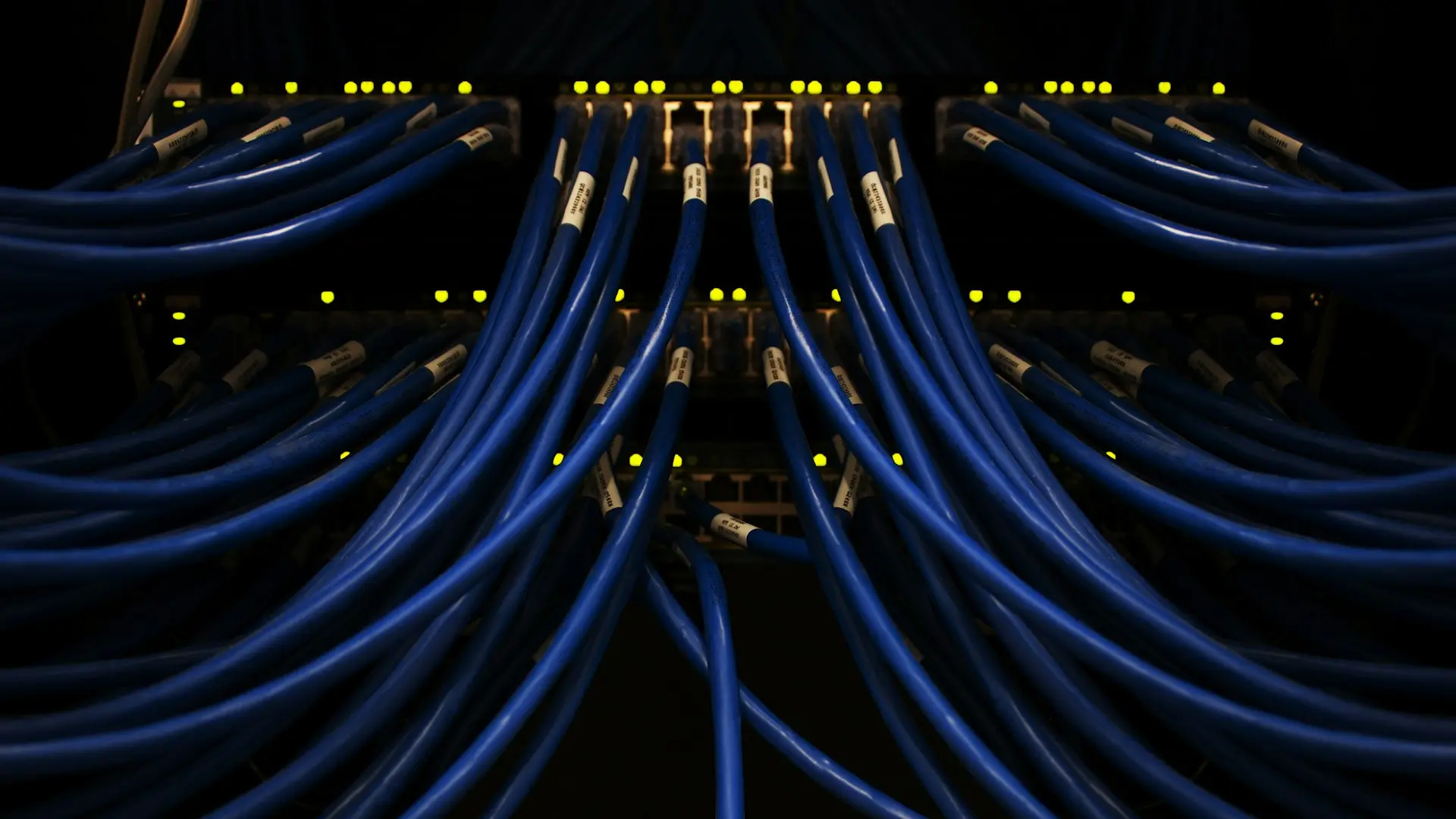 a bunch of blue wires connected to each other